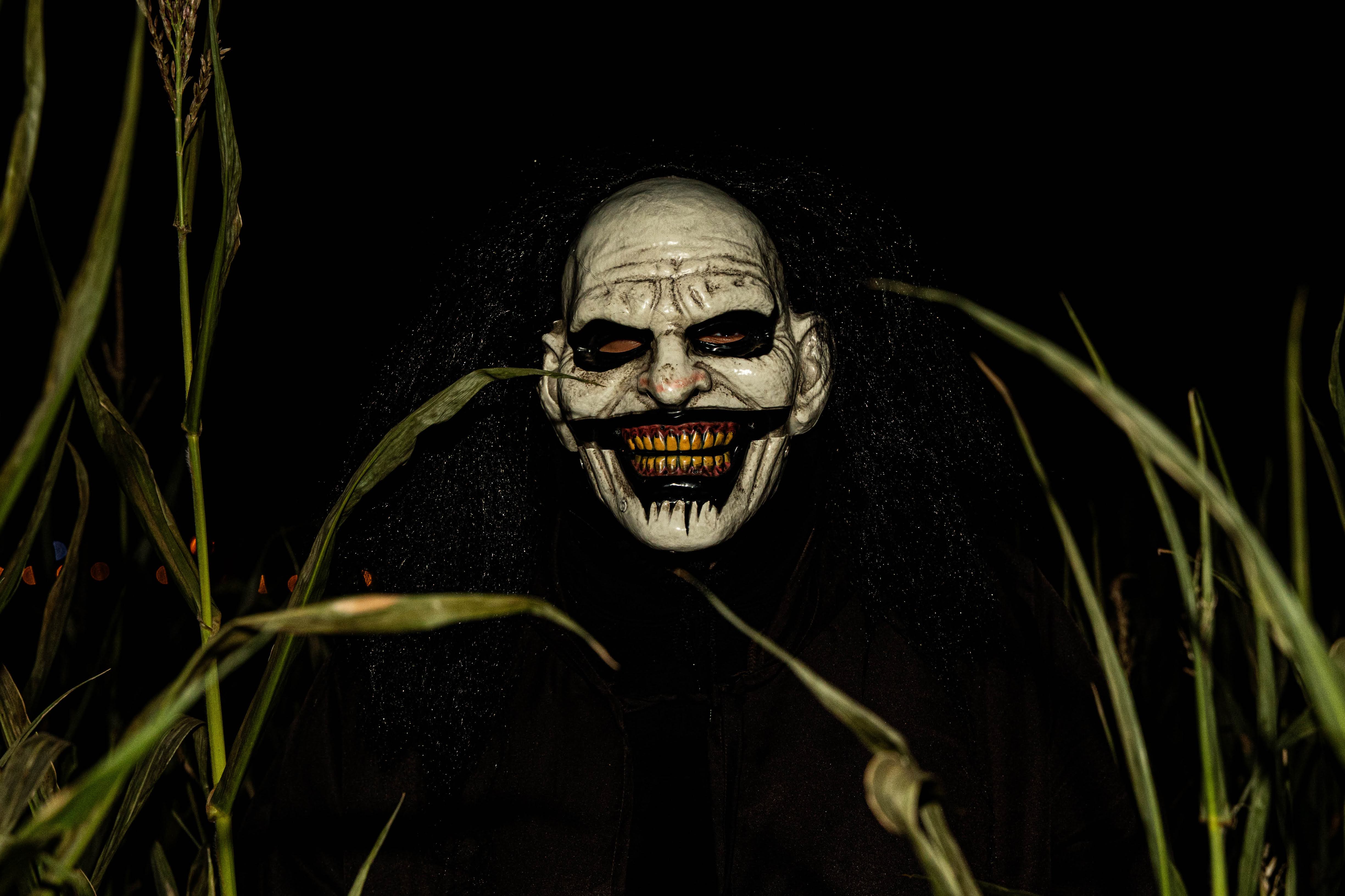 Creature in the corn at Buckland Haunted Farm